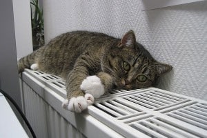 radiator